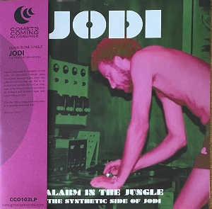 Alarm In the Jungle: the Synthetic Side of Jodi by Jodi