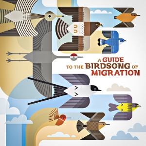 A Guide To the Birdsong of Migration by V/A