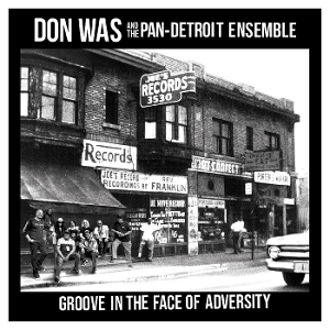 Groove In the Face of Adversity by Was, Don