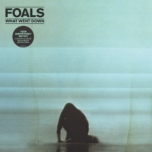 What Went Down by Foals