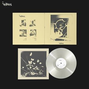 Wonderland by B.I