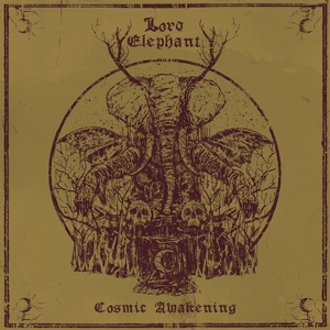 Cosmic Awakening by Lord Elephant