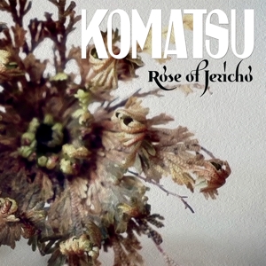 Rose of Jericho by Komatsu