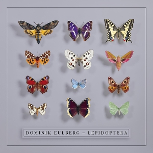 Lepidoptera by Eulberg, Dominik
