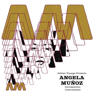 Introspection (Instrumentals) by Munoz, Angela