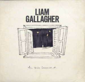 All You're Dreaming of by Gallagher, Liam