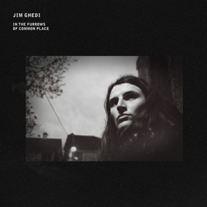 In the Furrows of Common Place by Ghedi, Jim