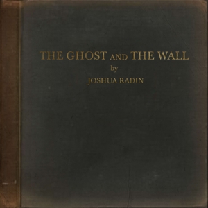 Ghost and the Wall by Radin, Joshua
