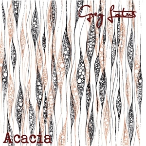 Acacia Live by Grey Lotus