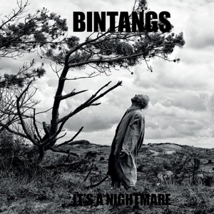 It's a Nightmare by Bintangs