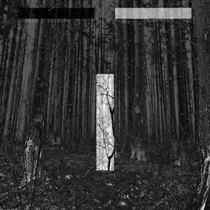 Another Day by Liebing, Chris