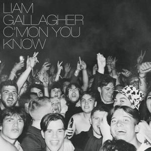 C Mon You Know by Gallagher, Liam