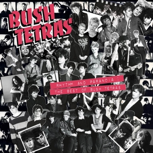 Rhythm and Paranoia: the Best of... by Bush Tetras