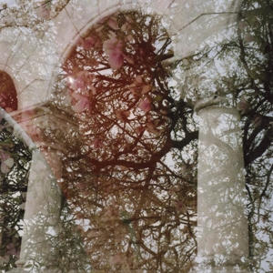 Gainer by Lattimore, Mary & ...