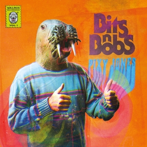 Bits N Bobs by Jones, Pixy