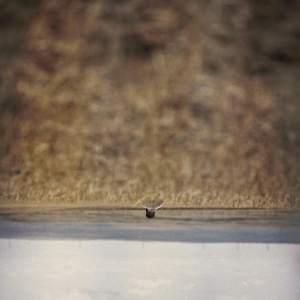 Hands That Bind - Orig... by O'Rourke, Jim