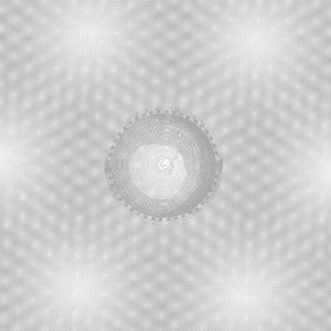 Seven Ways of Disappearing (Silver) by Arutiunian, Andrius