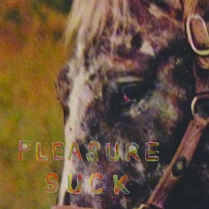 Pleasure Suck -Ltd- by Spirit of the Beehive