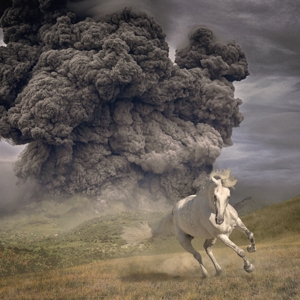 Year of the Dark Horse by White Buffalo