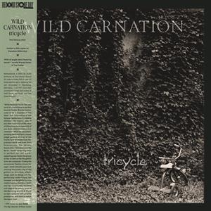 Tricycle by Wild Carnation