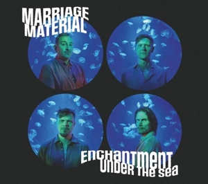 Enchantment Under the Sea by Marriage Material