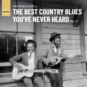 The Best Country Blues You've Never Heard Vol. 2