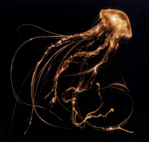 Back To the Water Below by Royal Blood