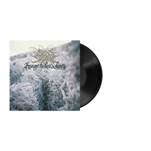 Amongst the Low & Empty by Signs of the Swarm