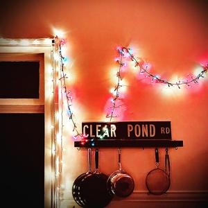Clear Pond Road by Hersh, Kristin