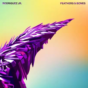 Feathers & Bones by Rodriguez Jr.