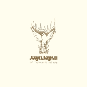 Thing About the Fire by Jaye Jayle