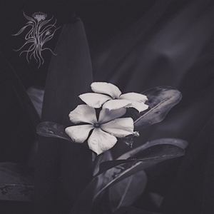 Ephemeral by Saasol
