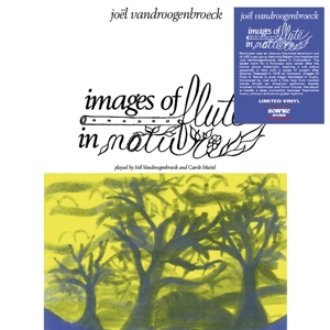 Images of Flute In Nature by Vandroogenbroeck, Joel
