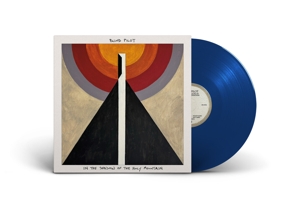 In the Shadow of the Holy Mountain by Blind Pilot