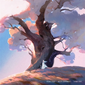 Where Light Touches by Faber, Rasmus