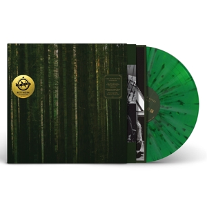 Evergreen by Paper Kites