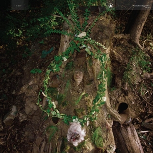 Maggot Mass by Pharmakon