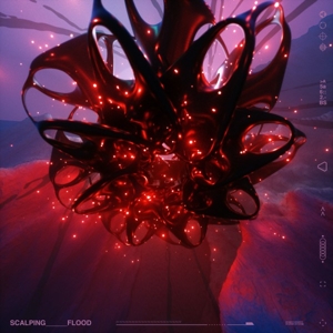 Flood by Scalping