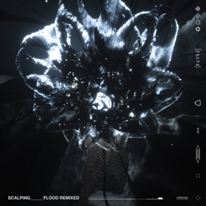 Flood Remixed by Scalping