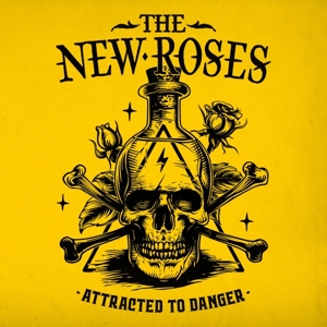 Attrackted To Danger by New Roses