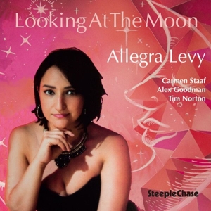 Looking At the Moon
