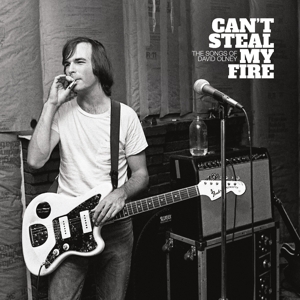 Can't Steal My Fire: the Songs of David Olney by V/A