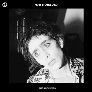 Bits and Pieces by Peace De Resistance