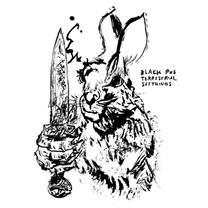 Terrastrial Seethings by Black Pus