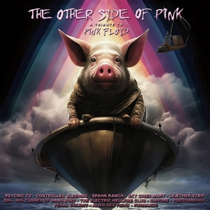 Other Side of Pink Floyd / Various
