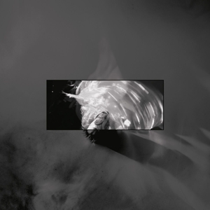 Live At World Culture Museum by Lucid Haze