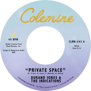 7-Private Space by Jones, Durand & the In...