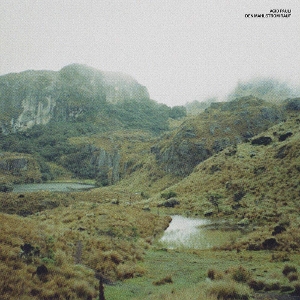 Den Mahlstrom Rauf by Acid Pauli