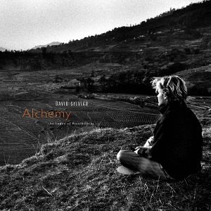 Alchemy an Index of Possibilities by Sylvian, David