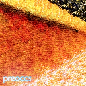 7-Mur/Ponr by Preoccupations